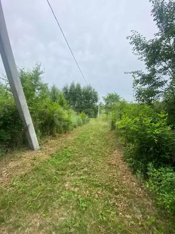 Участок в Амурская область, Благовещенский район, Амурская правда СТ  ... - Фото 1