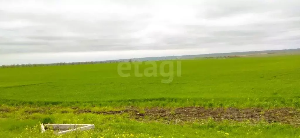 Участок в Крым, Феодосия муниципальный округ, Приморский пгт ул. ... - Фото 1