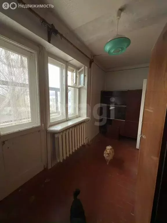 2к в -комнатной квартире ( м) - Фото 1