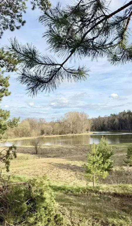 Участок в Московская область, Ступино городской округ, Шелково Ривер ... - Фото 1