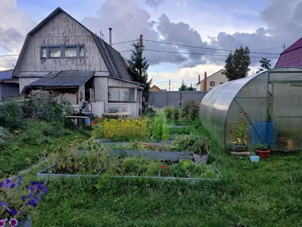 Участок в Ханты-Мансийский АО, Сургут № 5 садовое товарищество, ул. ... - Фото 1