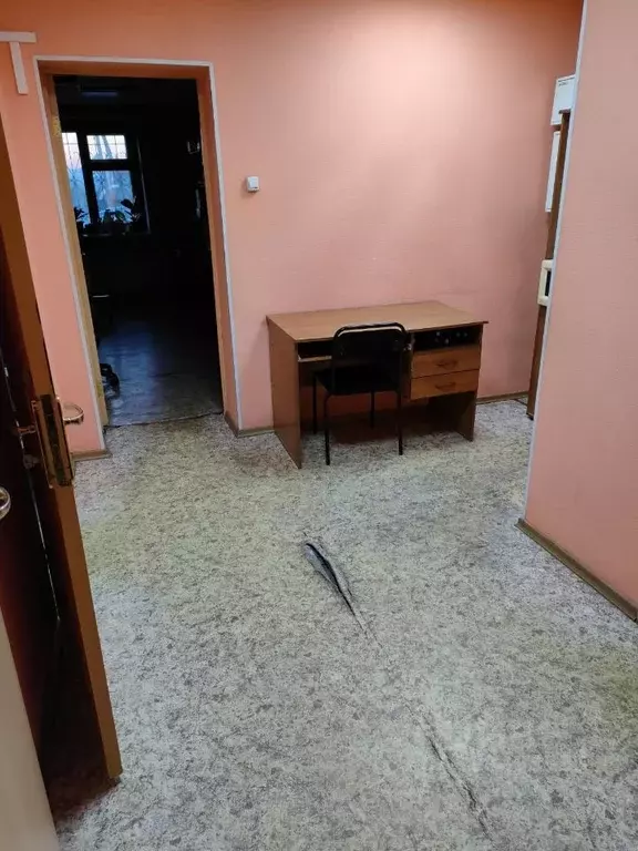 Помещение свободного назначения в Новосибирская область, Маслянино рп ... - Фото 2