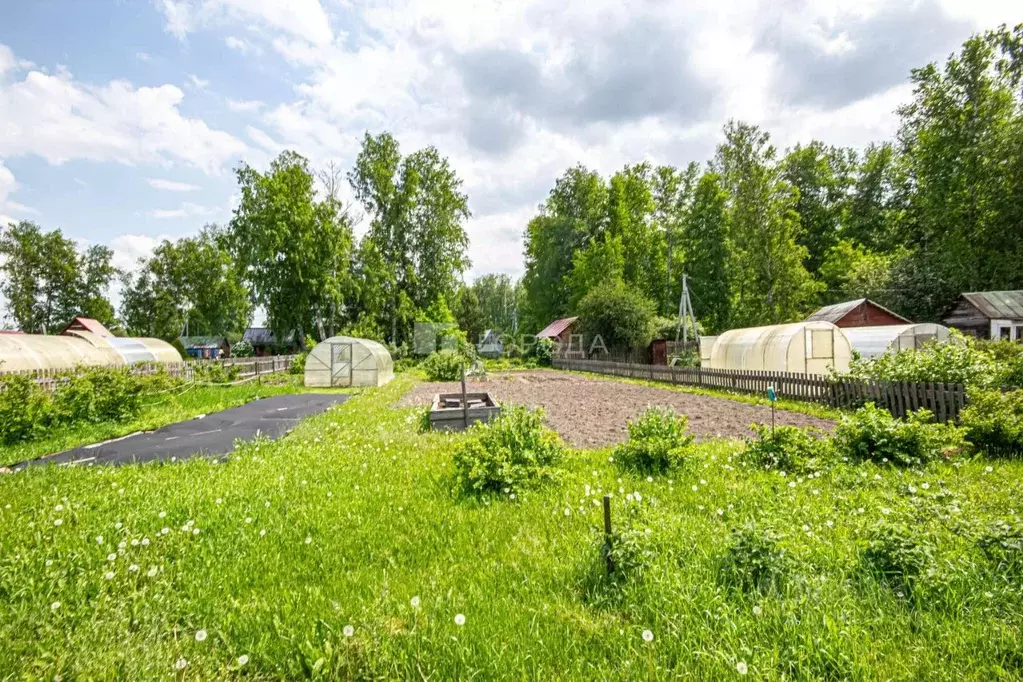 Участок в Новосибирская область, Новосибирск Искра тер.,  (12.0 сот.) - Фото 0