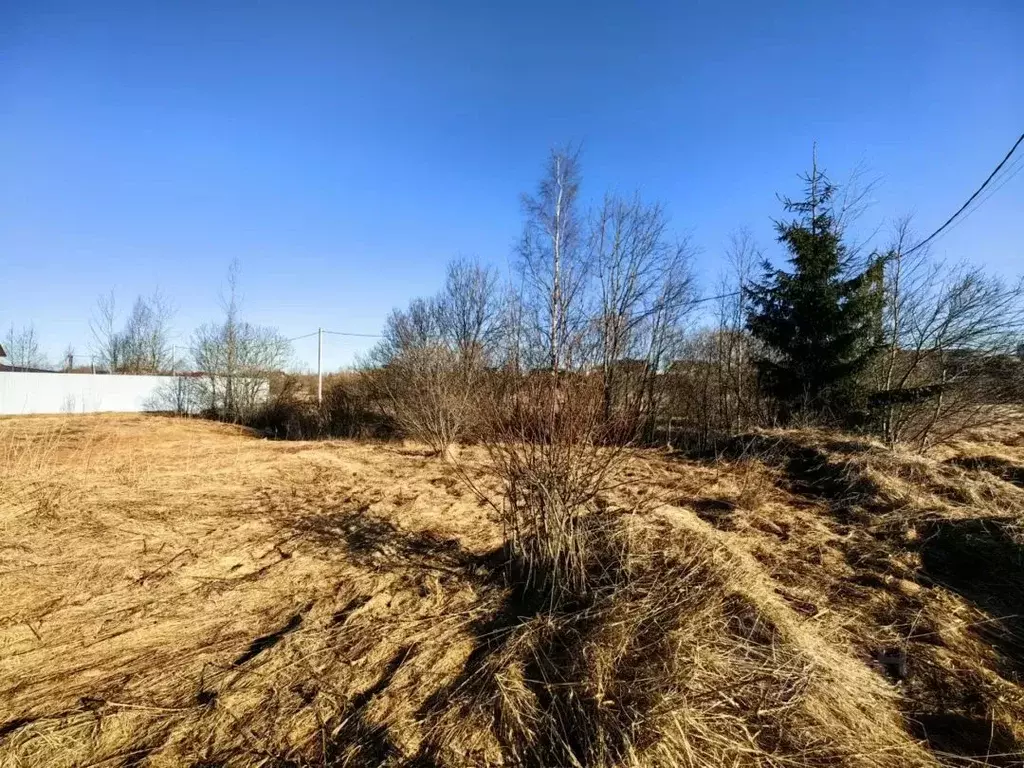 Участок в Ленинградская область, Всеволожский район, Лесколовское ... - Фото 1