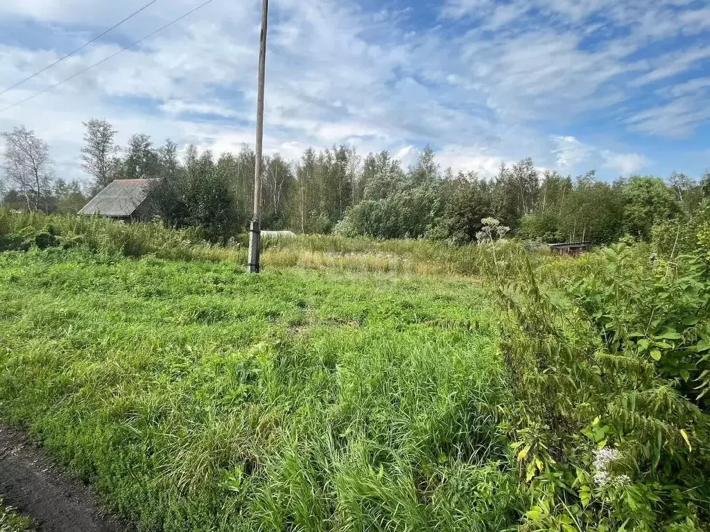 Участок в Томская область, Томск Мебельщик садовое товарищество,  ... - Фото 0