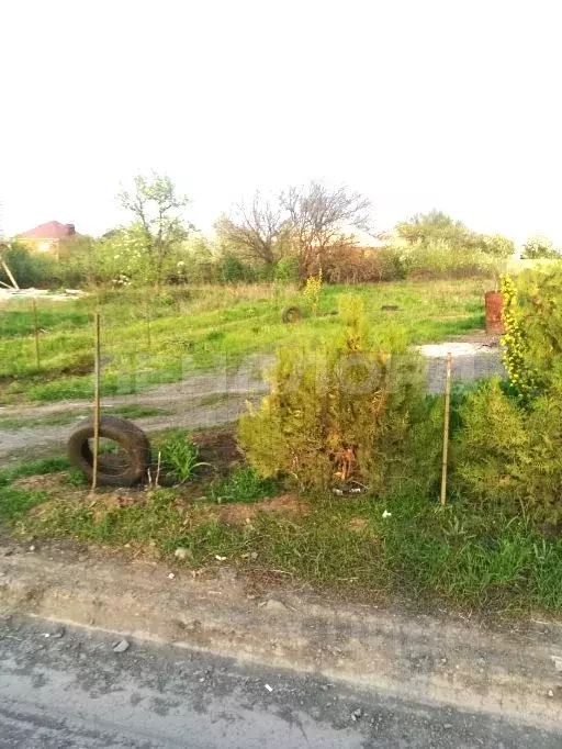 Участок в Ростовская область, Октябрьский район, пос. Персиановский ... - Фото 2