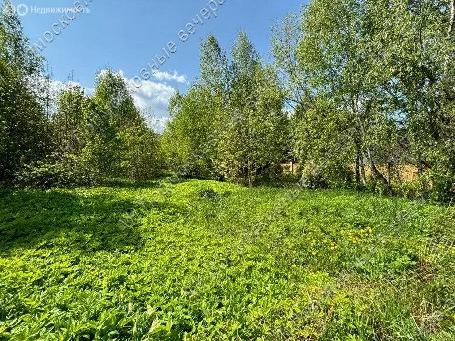 Участок в Московская область, муниципальный округ Истра, посёлок ... - Фото 1