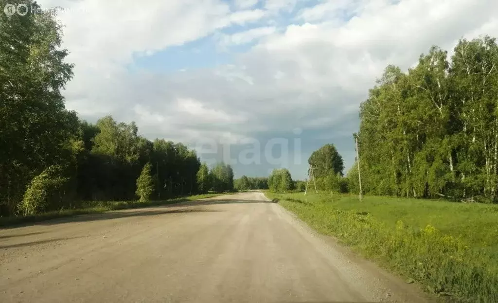 Участок в Новосибирск (1000 м) - Фото 1