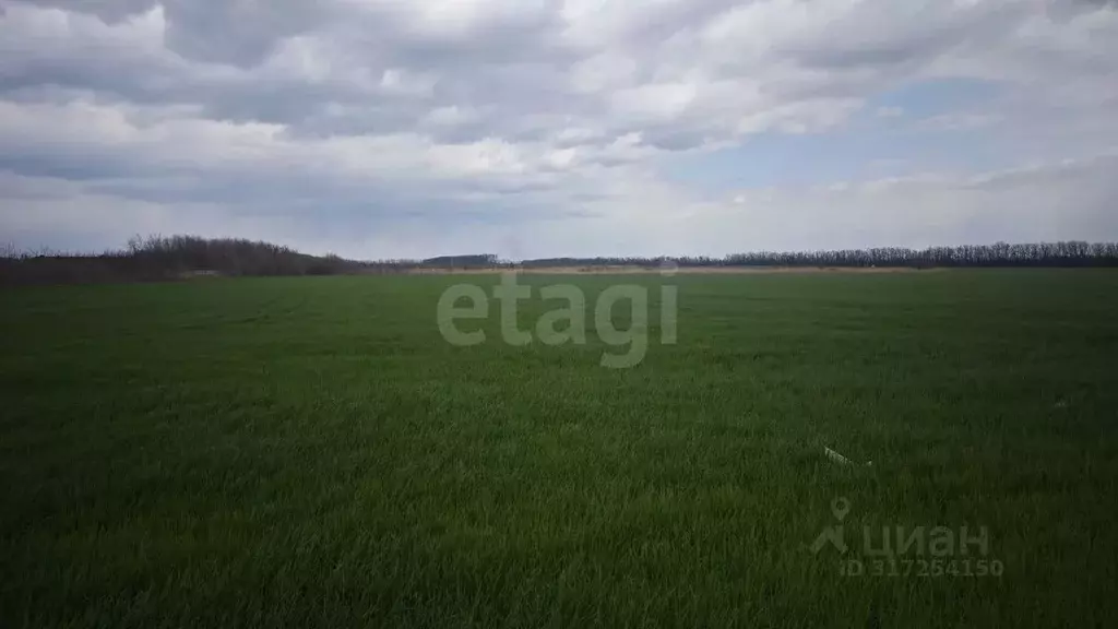 Участок в Ростовская область, Мясниковский район, Красный Крым хут. ... - Фото 0