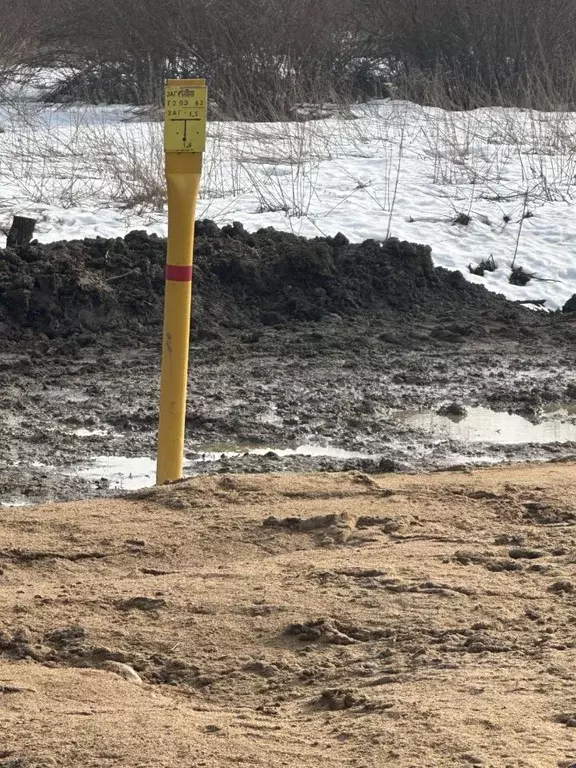 Участок в Ленинградская область, Всеволожский район, Лесколовское ... - Фото 2