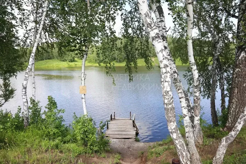 Участок в Тюменская область, Тюменский муниципальный округ, д. ... - Фото 0
