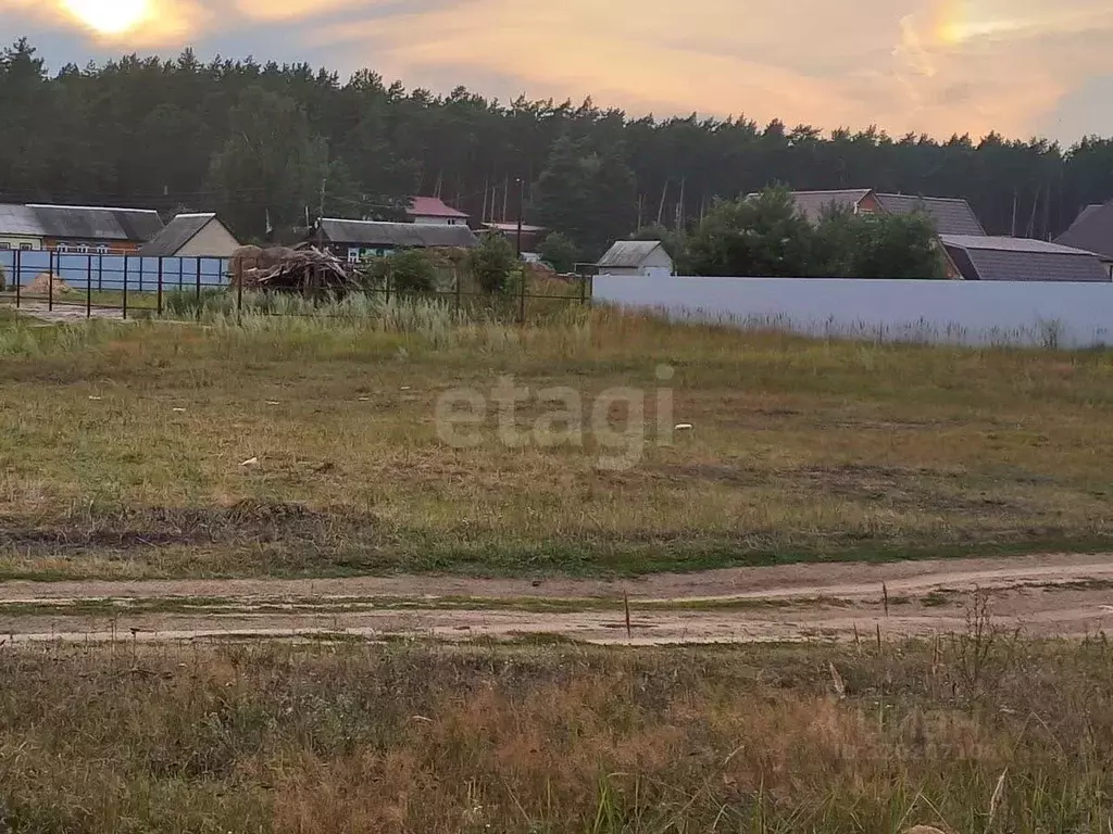 Участок в Мордовия, Ичалковский район, пос. Смольный Школьный пер. ... - Фото 1