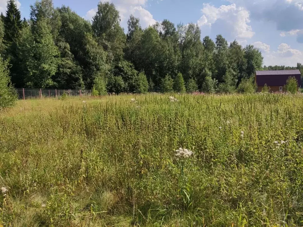 Участок в Московская область, Сергиево-Посадский городской округ, д. ... - Фото 2