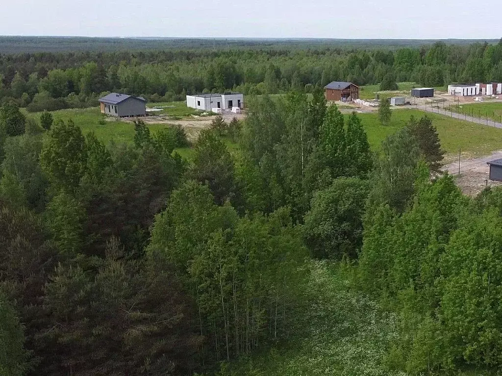 Участок в Ленинградская область, Ломоносовский район, Низинское с/пос, ... - Фото 1
