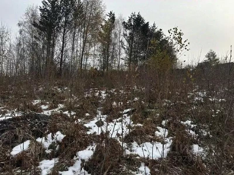 Участок в Иркутская область, Иркутский муниципальный округ, Новое СНТ ... - Фото 2