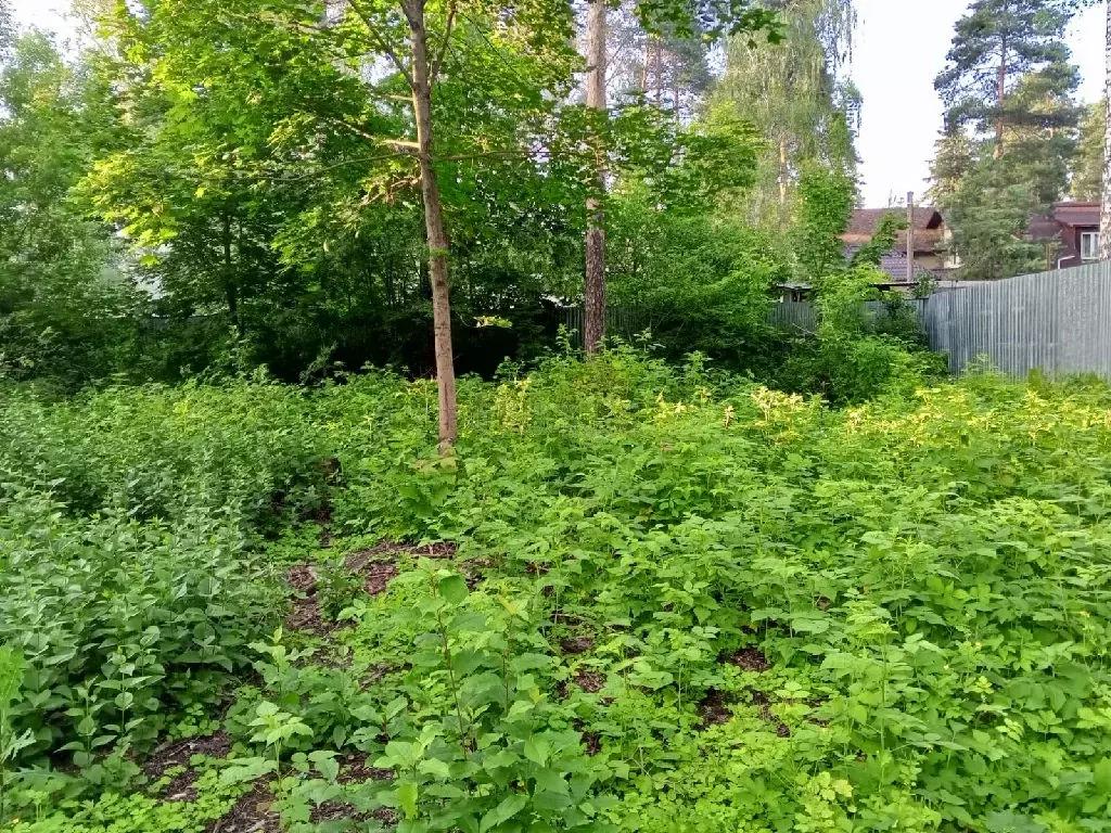 Продается участок в пгт Быково - Фото 1