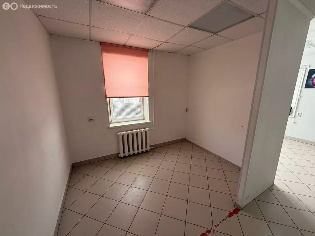 Помещение свободного назначения (53 м) - Фото 1