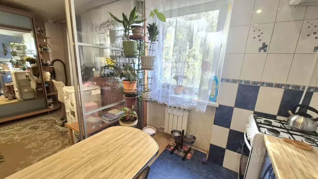 1-к кв. Севастополь ул. Горпищенко, 41 (33.5 м) - Фото 2