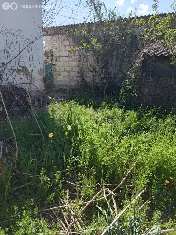 Участок в Белогорск, Садовый тупик (6 м) - Фото 1