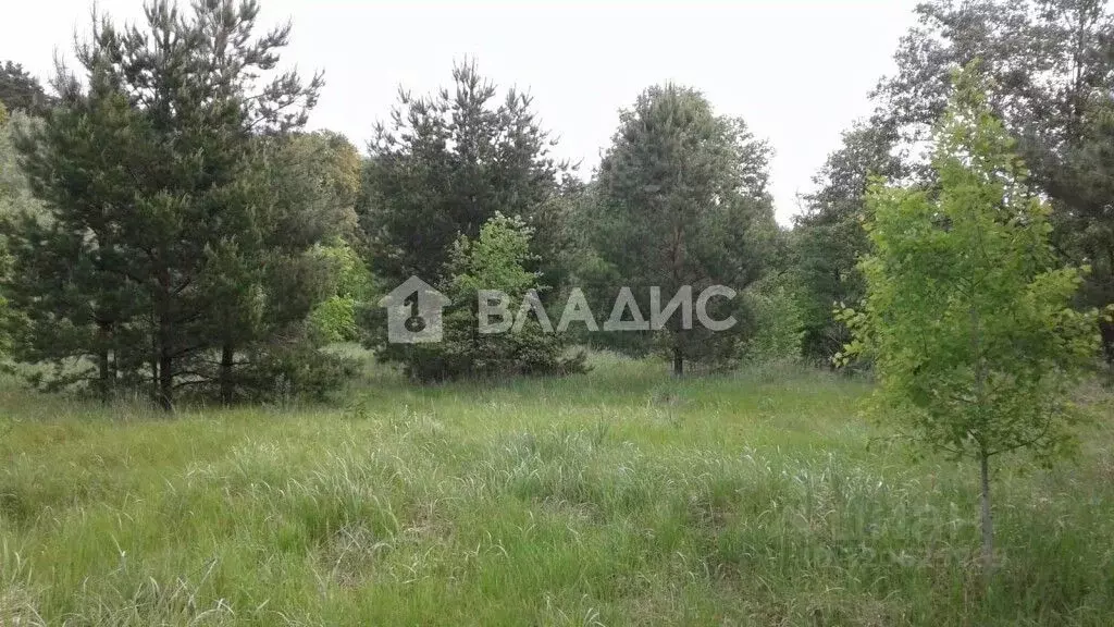 Участок в Пензенская область, Бессоновский район, пос. Подлесный ... - Фото 1