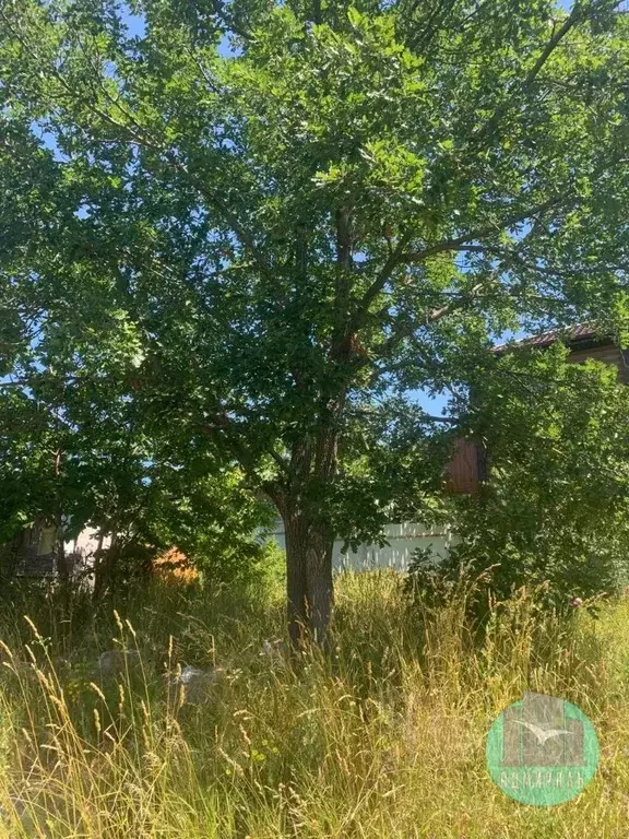 Участок в Краснодарский край, Новороссийск городской округ, Надежда СТ ... - Фото 2