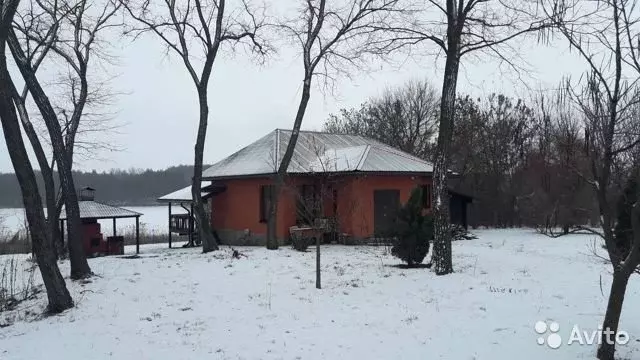 Казачья лисица белгородская область. Белгородская область село Новостроевка.