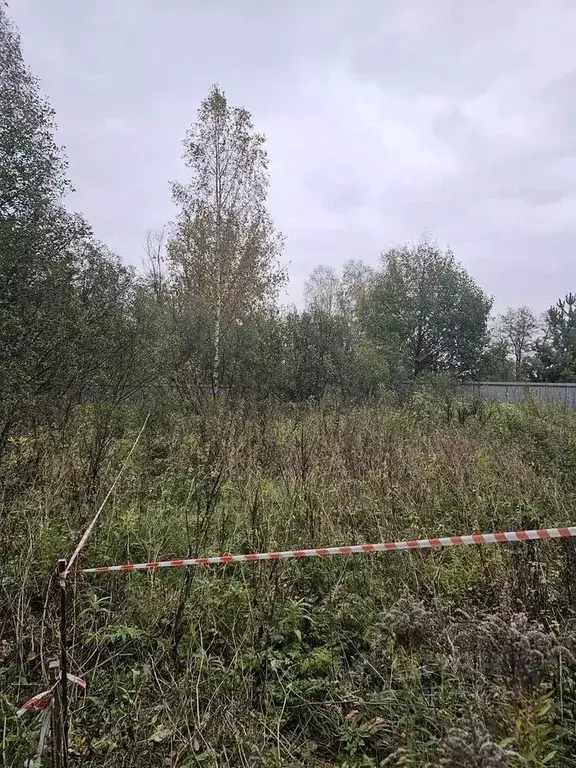 Участок в Московская область, Щелково  (4.0 сот.) - Фото 1