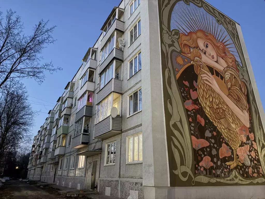 1-к кв. Владимирская область, Петушки Московская ул., 21 (31.1 м) - Фото 1