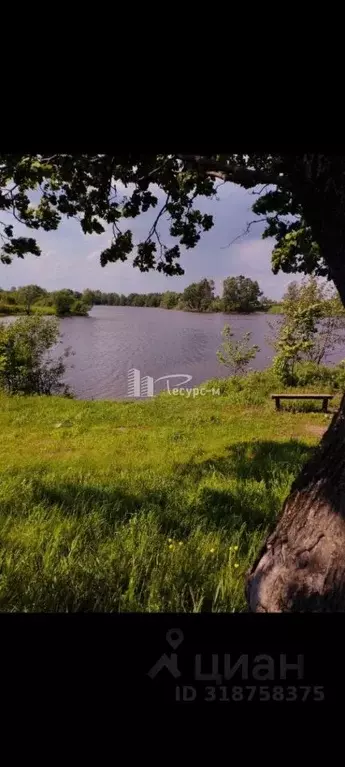 Дом в Нижегородская область, Выкса городской округ, Шиморское рп, ... - Фото 1