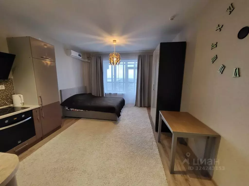 Студия Псковская область, Псковский район, Писковичская волость, д. ... - Фото 2