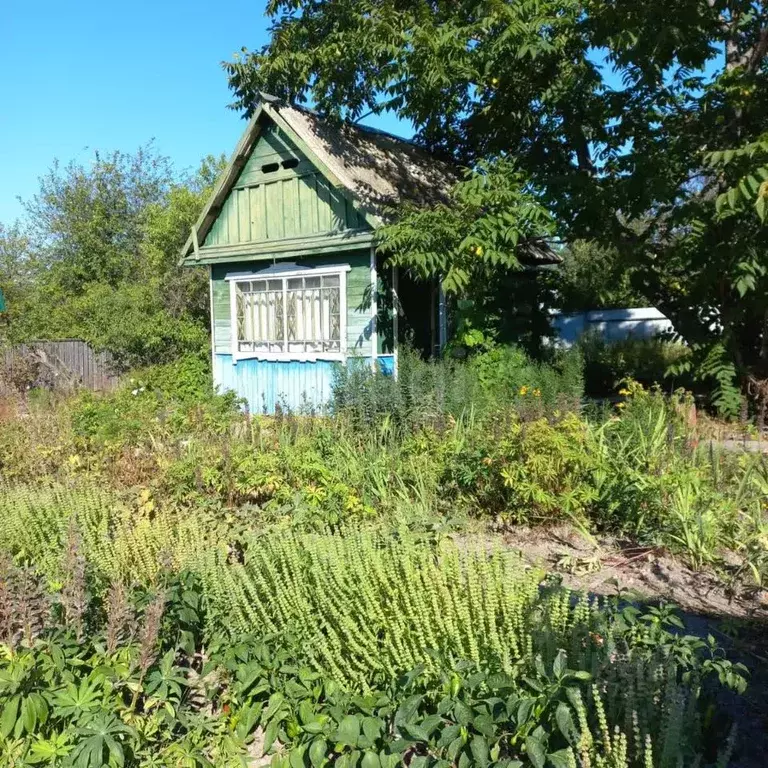 Дом в Хабаровский край, Комсомольск-на-Амуре АСЗ Сад № 6 СНТ, ул. 9-я ... - Фото 1