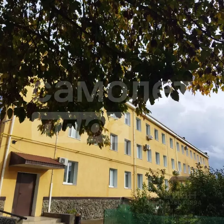 1-к кв. Крым, Сакский район, Ореховское с/пос, с. Михайловка ул. ... - Фото 1