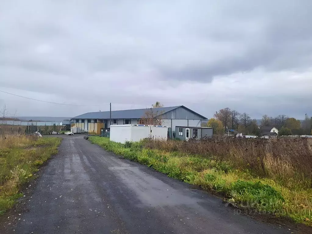 Склад в Московская область, Коломна городской округ, с. Белые Колодези ... - Фото 2