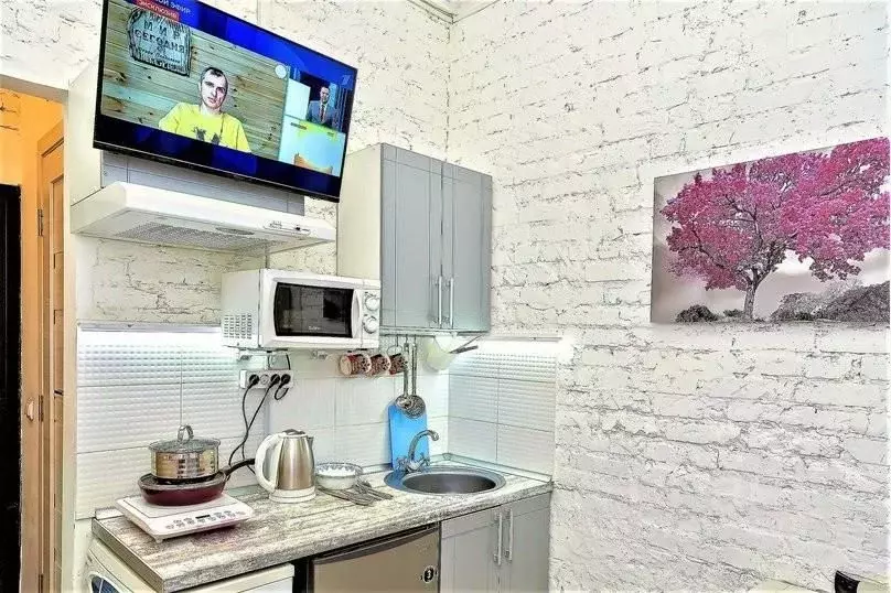 1-к кв. Новосибирская область, Новосибирск ул. Гоголя, 235/1 (15.0 м) - Фото 1