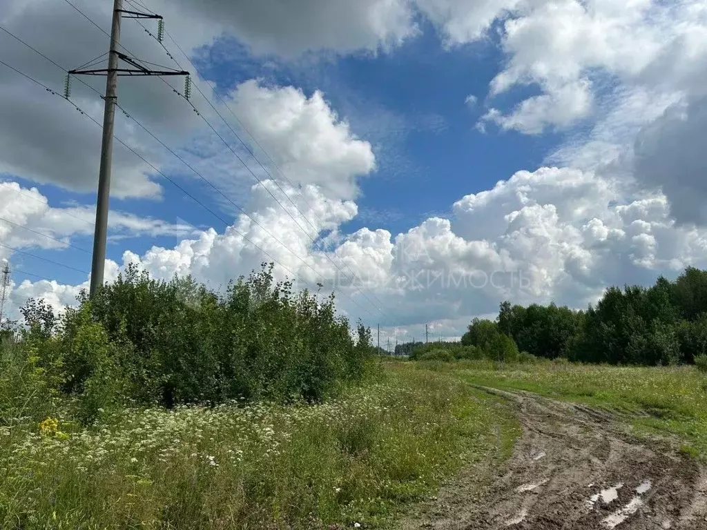 Участок в Тюменская область, Нижнетавдинский муниципальный округ, ... - Фото 1