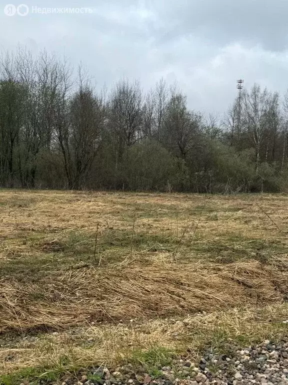 Участок в Сергиево-Посадский городской округ, деревня Селково (15 м) - Фото 2