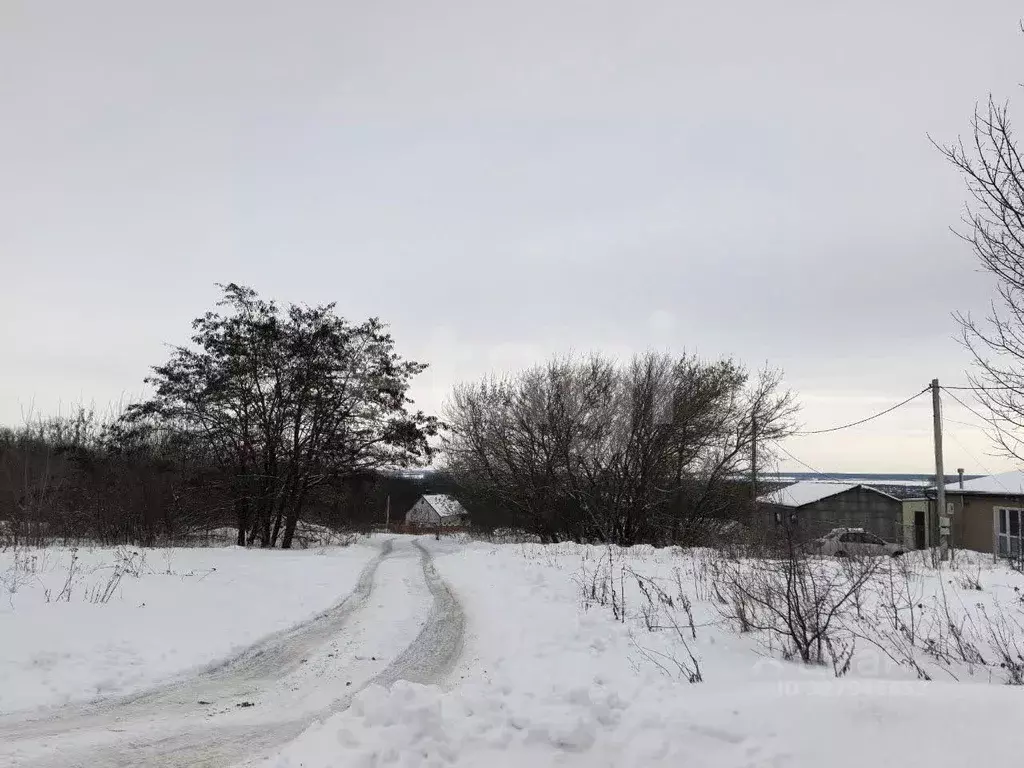 Участок в Курская область, Курский район, Щетинский сельсовет, д. ... - Фото 1
