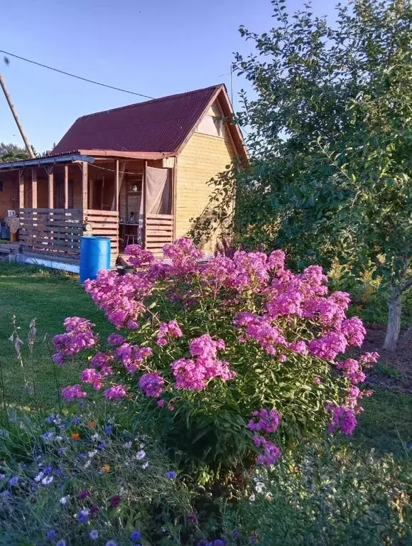 Дом в Ленинградская область, Выборгский район, Рощинское городское ... - Фото 1