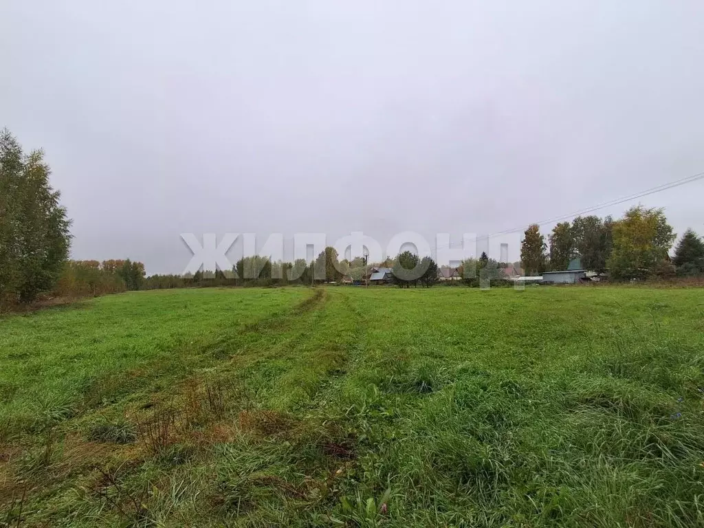 Участок в Новосибирская область, Новосибирский район, Станционный ... - Фото 2