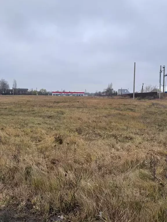 Участок в Воронежская область, Рамонский район, Айдаровское с/пос, с. ... - Фото 2