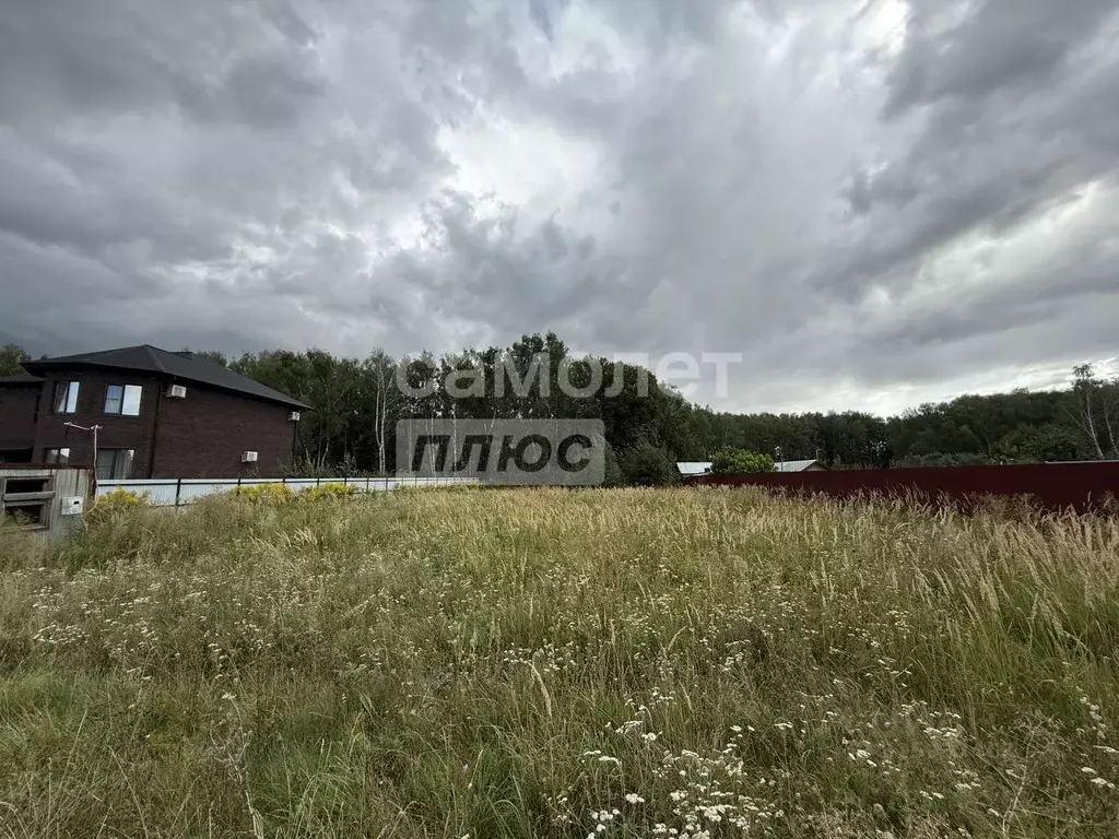 Участок в Рязанская область, Рязанский муниципальный округ, пос. ... - Фото 2
