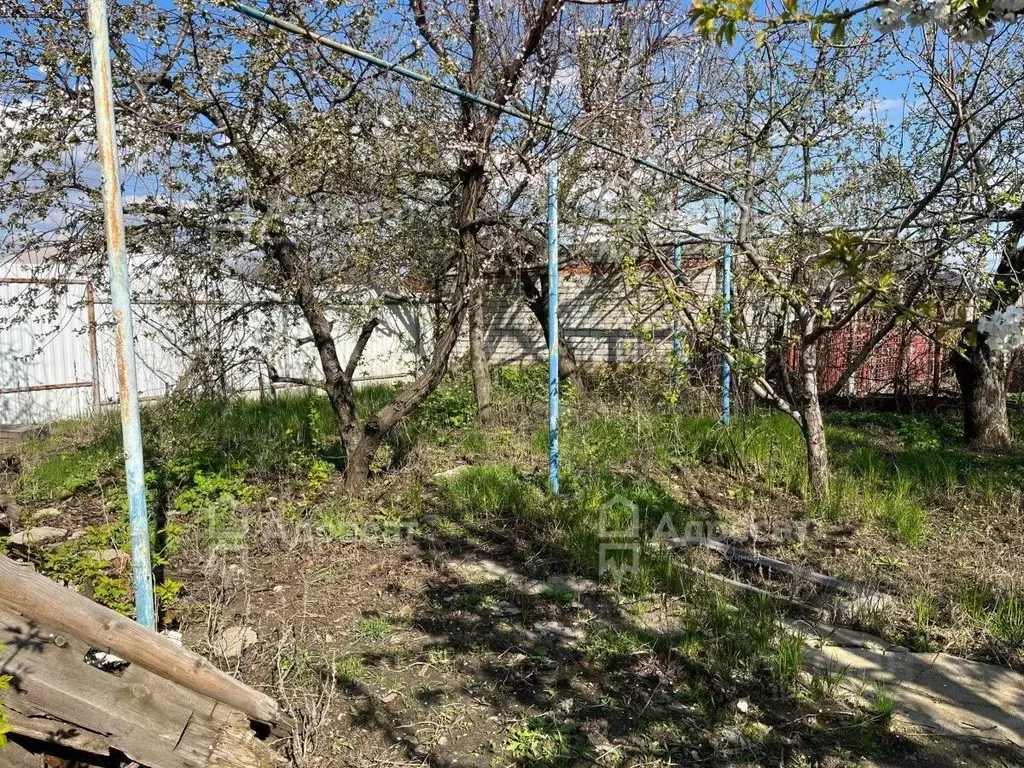 Дом в Волгоградская область, Волгоград ул. Балакирева (29 м) - Фото 2