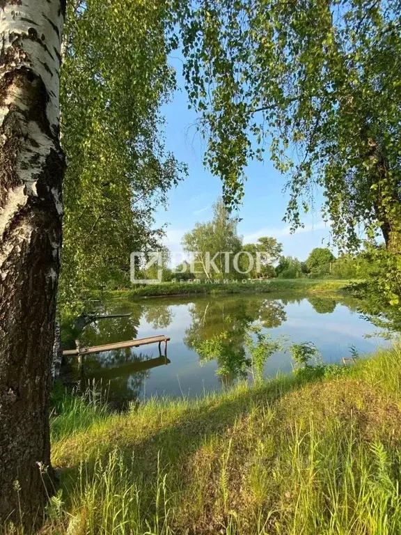 Участок в Костромская область, Костромской район, Чернопенское с/пос, ... - Фото 2