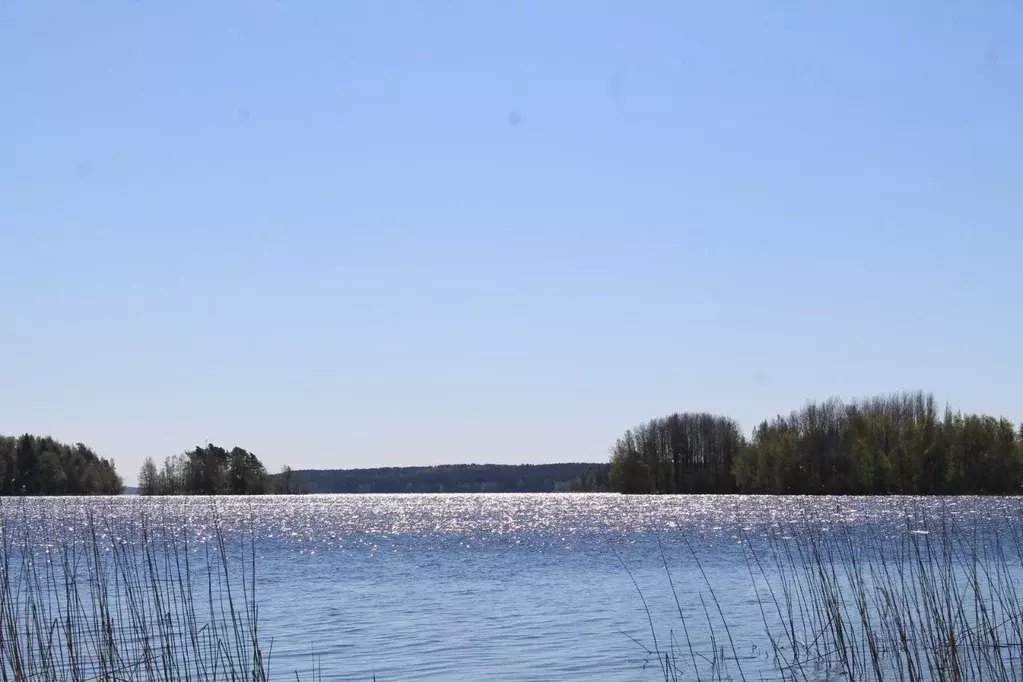 Участок в Ленинградская область, Приозерский район, Мельниковское ... - Фото 2