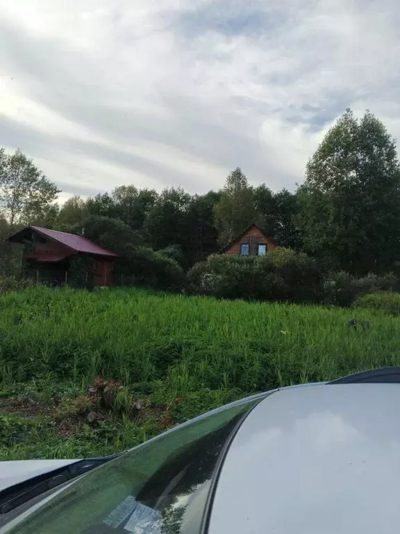 Продается участок в СНТ Веселево - Фото 1