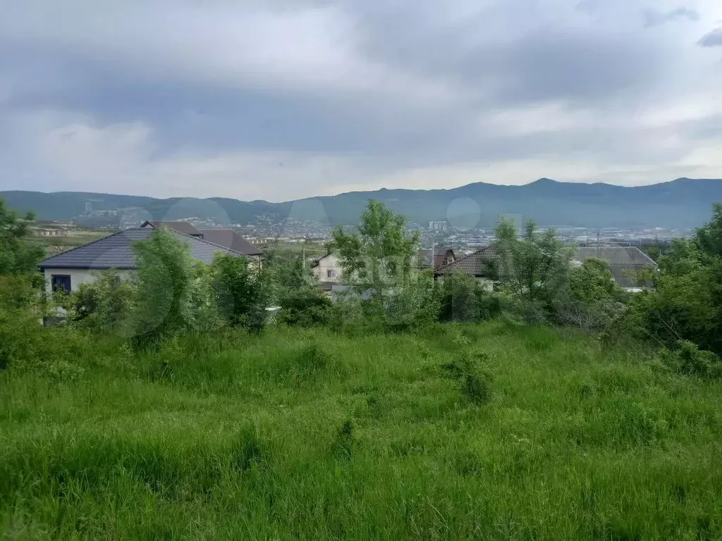 Участок 6 сот. (СНТ, ДНП) - Фото 1