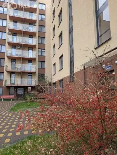 1-комнатная квартира: Светлогорск, Дачная улица, 6 (42.5 м) - Фото 1