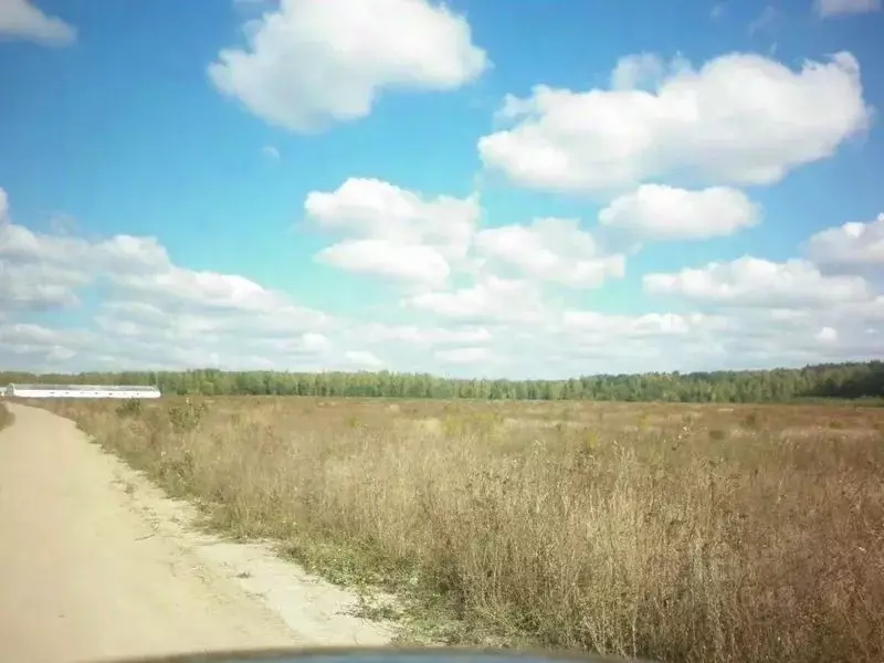 Участок в Орловская область, Урицкий район, Городищенское с/пос, с. ... - Фото 0