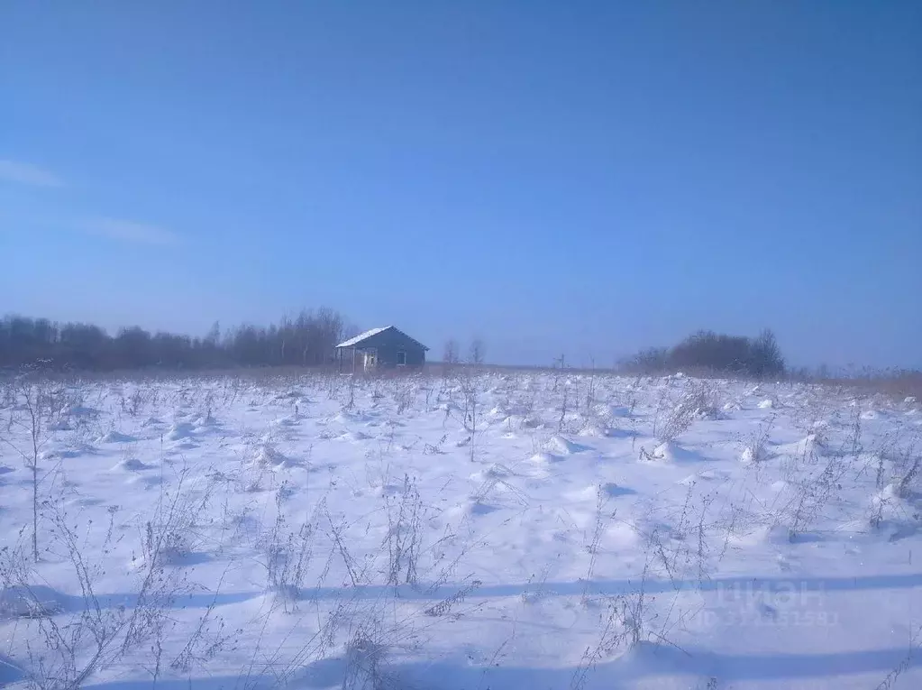 Участок в Новгородская область, Новгородский район, Борковское с/пос, ... - Фото 0