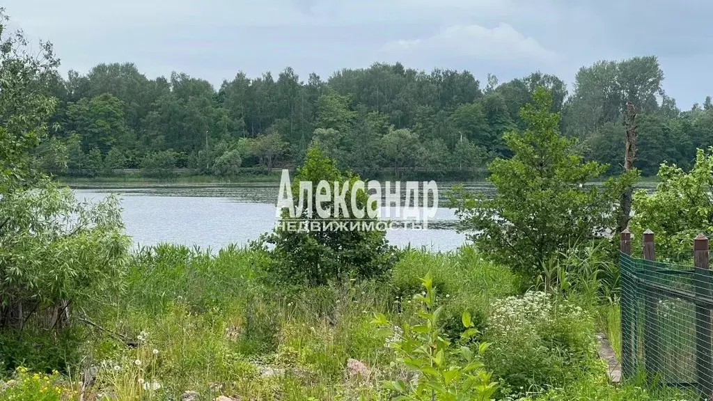 Участок в Ленинградская область, Выборг Октябрьская ул., 16 (12.0 ... - Фото 0
